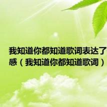 我知道你都知道歌词表达了什么情感（我知道你都知道歌词）