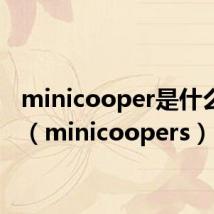minicooper是什么意思(minicoopers)