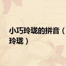 小巧玲珑的拼音（小巧玲珑）