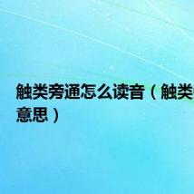 触类旁通怎么读音(触类旁通的意思)
