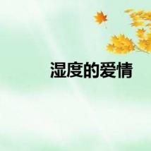 湿度的爱情