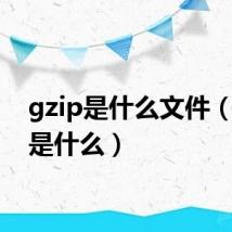 gzip是什么文件(gzip是什么)