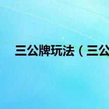 三公牌玩法（三公）
