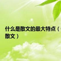 什么是散文的最大特点（什么是散文）