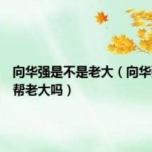 向华强是不是老大（向华强是黑帮老大吗）