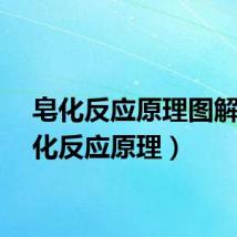 皂化反应原理图解（皂化反应原理）