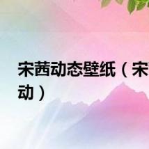 宋茜动态壁纸（宋茜 天动）
