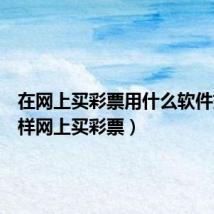 在网上买彩票用什么软件好(怎样网上买彩票)