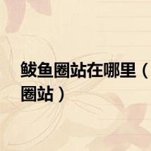 鲅鱼圈站在哪里（鲅鱼圈站）