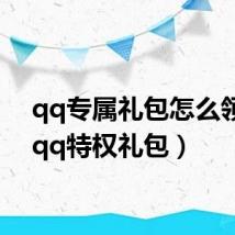 qq专属礼包怎么领取(qq特权礼包)