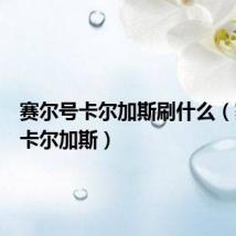 赛尔号卡尔加斯刷什么(赛尔号卡尔加斯)