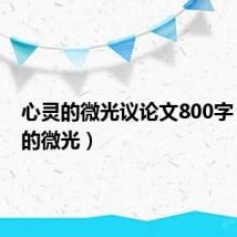 心灵的微光议论文800字(心灵的微光)