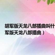 胡军版天龙八部插曲叫什么（胡军版天龙八部插曲）