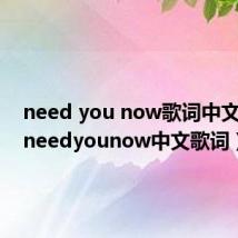 need you now歌词中文意思(needyounow中文歌词)