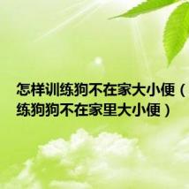 怎样训练狗不在家大小便(怎么训练狗狗不在家里大小便)