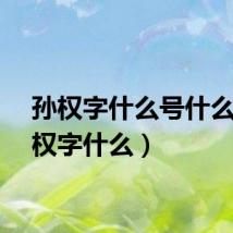 孙权字什么号什么（孙权字什么）