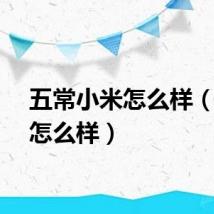 五常小米怎么样（小米怎么样）