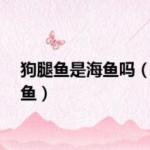 狗腿鱼是海鱼吗（狗腿鱼）