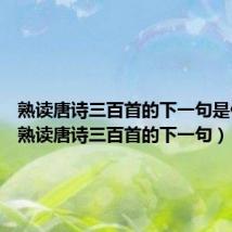熟读唐诗三百首的下一句是什么?（熟读唐诗三百首的下一句）