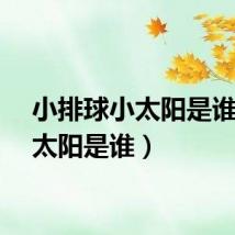 小排球小太阳是谁（小太阳是谁）