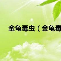 金龟毒虫（金龟毒）