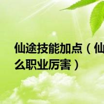 仙途技能加点（仙途什么职业厉害）