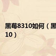 黑莓8310如何（黑莓 8310）