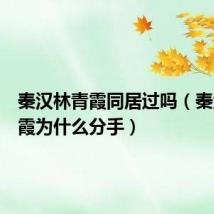 秦汉林青霞同居过吗(秦汉林青霞为什么分手)