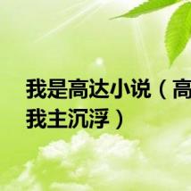 我是高达小说（高达之我主沉浮）