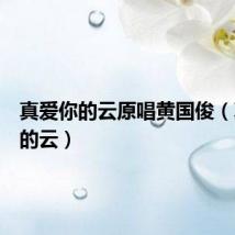 真爱你的云原唱黄国俊（真爱你的云）