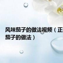 风味茄子的做法视频（正宗风味茄子的做法）