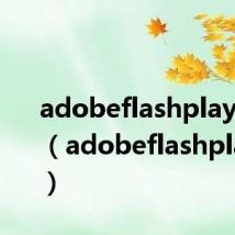 adobeflashplayer10.1(adobeflashplayer10)