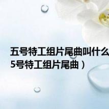 五号特工组片尾曲叫什么名字（5号特工组片尾曲）