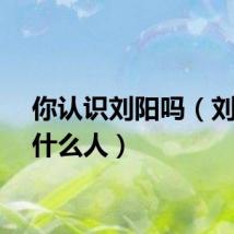 你认识刘阳吗（刘阳是什么人）
