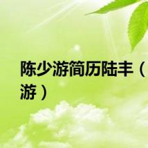 陈少游简历陆丰（陈少游）