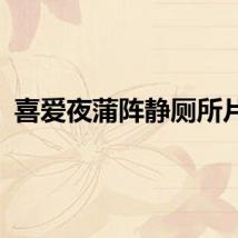 喜爱夜蒲阵静厕所片段
