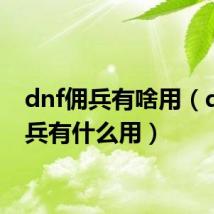 dnf佣兵有啥用(dnf佣兵有什么用)