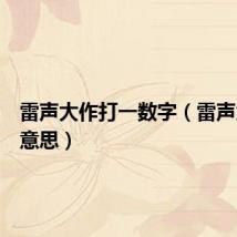 雷声大作打一数字（雷声大作的意思）