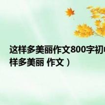 这样多美丽作文800字初中(这样多美丽 作文)