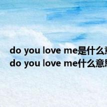 do you love me是什么意思?（do you love me什么意思）