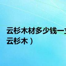 云杉木材多少钱一立方（云杉木）