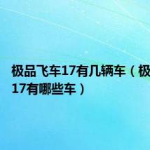 极品飞车17有几辆车（极品飞车17有哪些车）