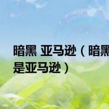 暗黑 亚马逊（暗黑之我是亚马逊）