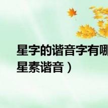 星字的谐音字有哪些（星素谐音）