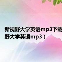 新视野大学英语mp3下载(新视野大学英语mp3)