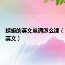 蜻蜓的英文单词怎么读(蜻蜓的英文)