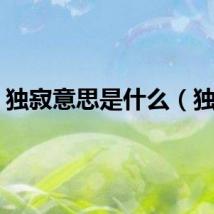 独寂意思是什么（独寂）