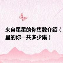 来自星星的你集数介绍(来自星星的你一共多少集)