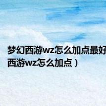 梦幻西游wz怎么加点最好(梦幻西游wz怎么加点)