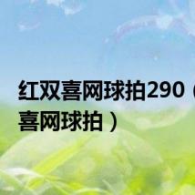 红双喜网球拍290(红双喜网球拍)